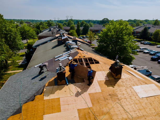 Trusted Roof Replacement service in Maxwell, CA - Brentwood Metal Roofing